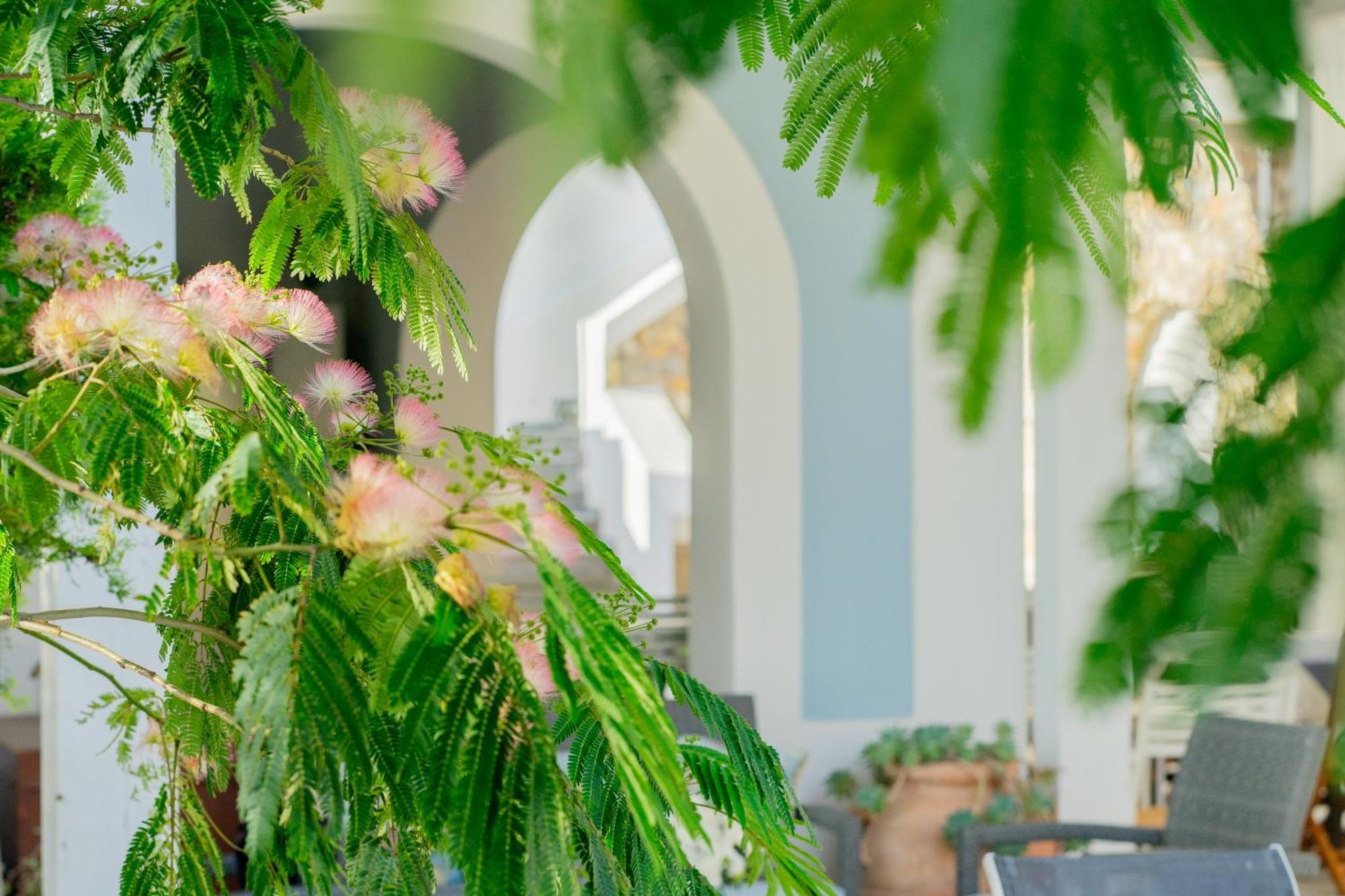 Villa Acacia Ponza Extérieur photo