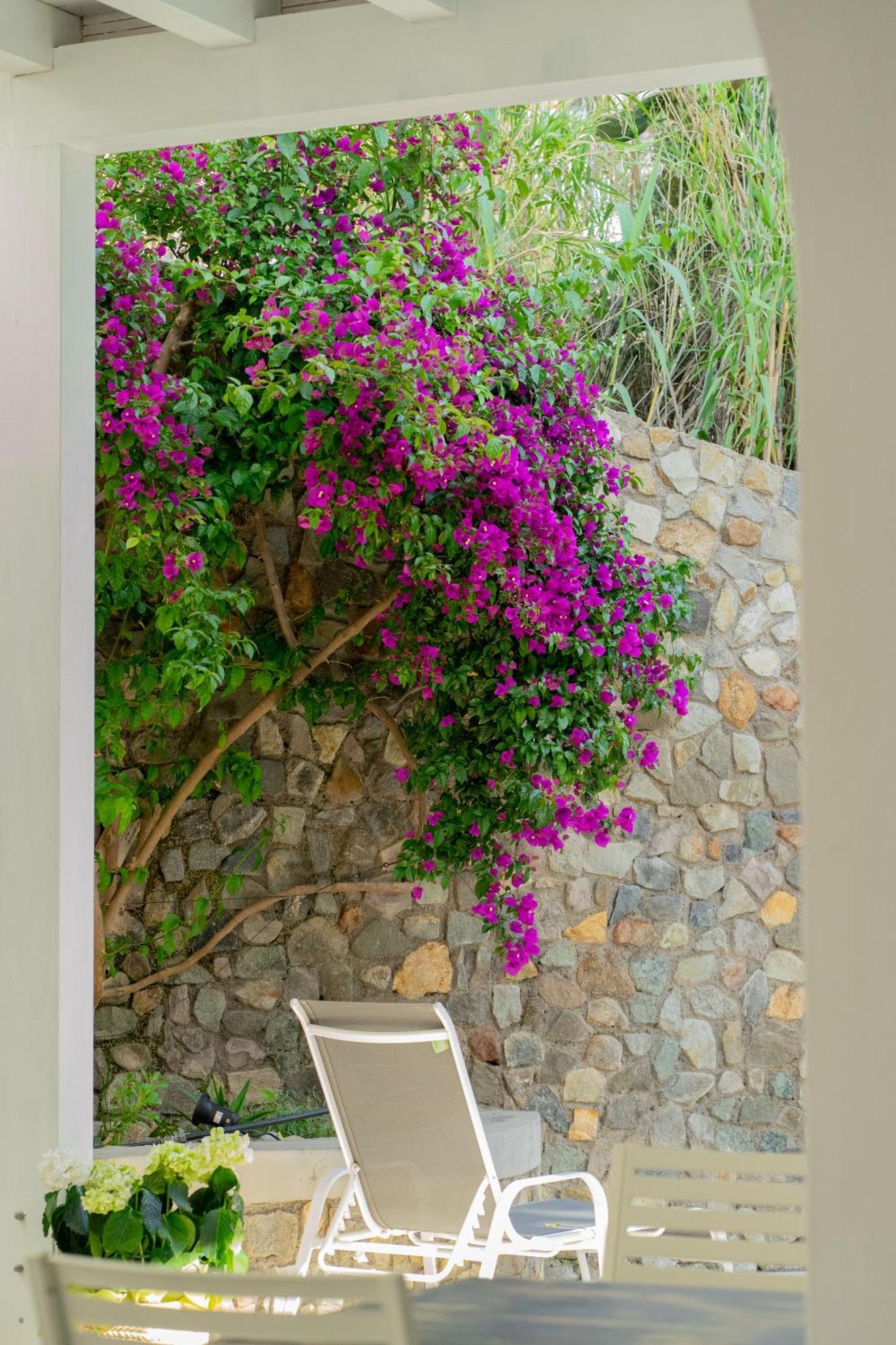 Villa Acacia Ponza Extérieur photo