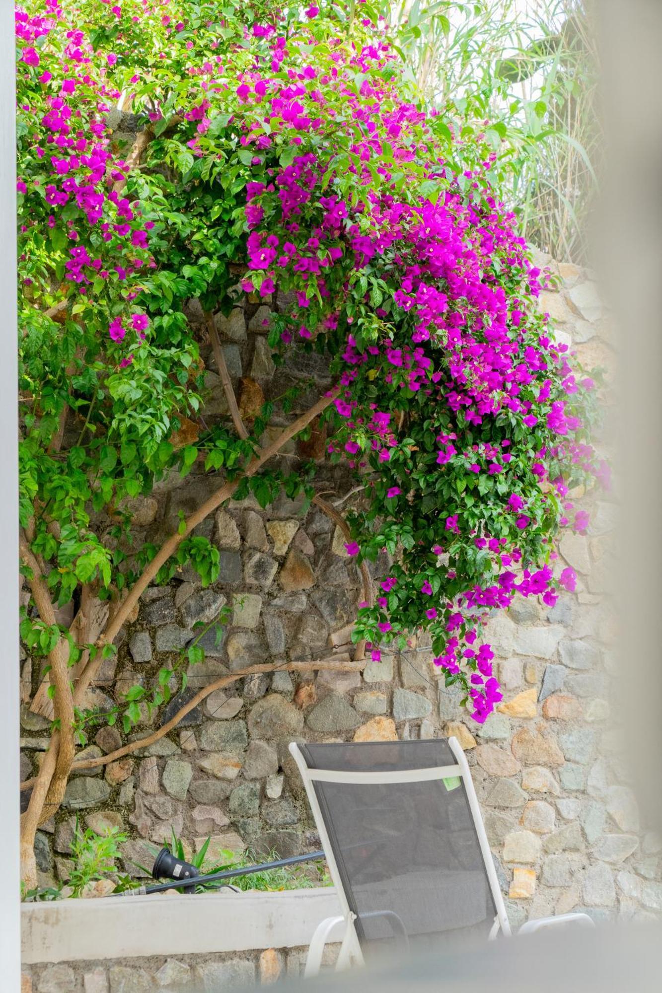 Villa Acacia Ponza Extérieur photo